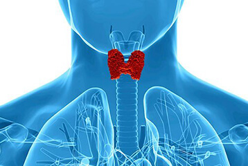 Thyroid Lab Tests Online