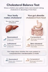 Cholesterol balance test by Boston Heart showing how cholesterol is being produced by the body vs how much cholesterol is be absorbed in the gut.